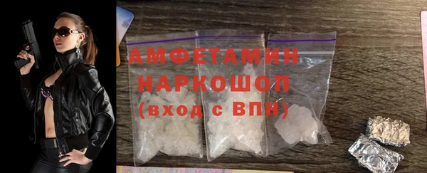 индика Алзамай