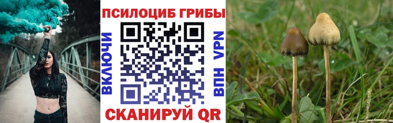 Псилоцибиновые грибы Magic Shrooms  Белоусово 